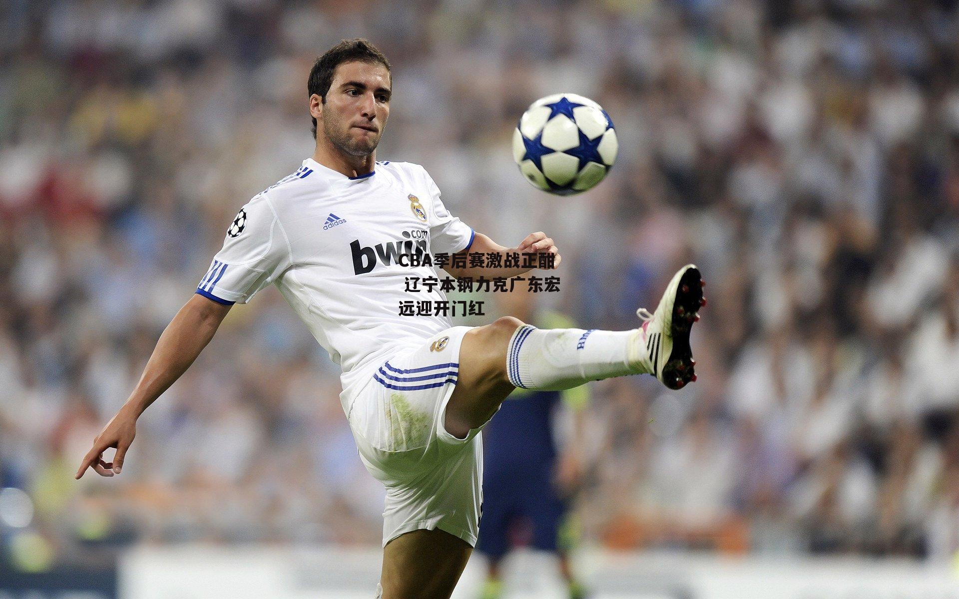 CBA季后赛激战正酣 辽宁本钢力克广东宏远迎开门红