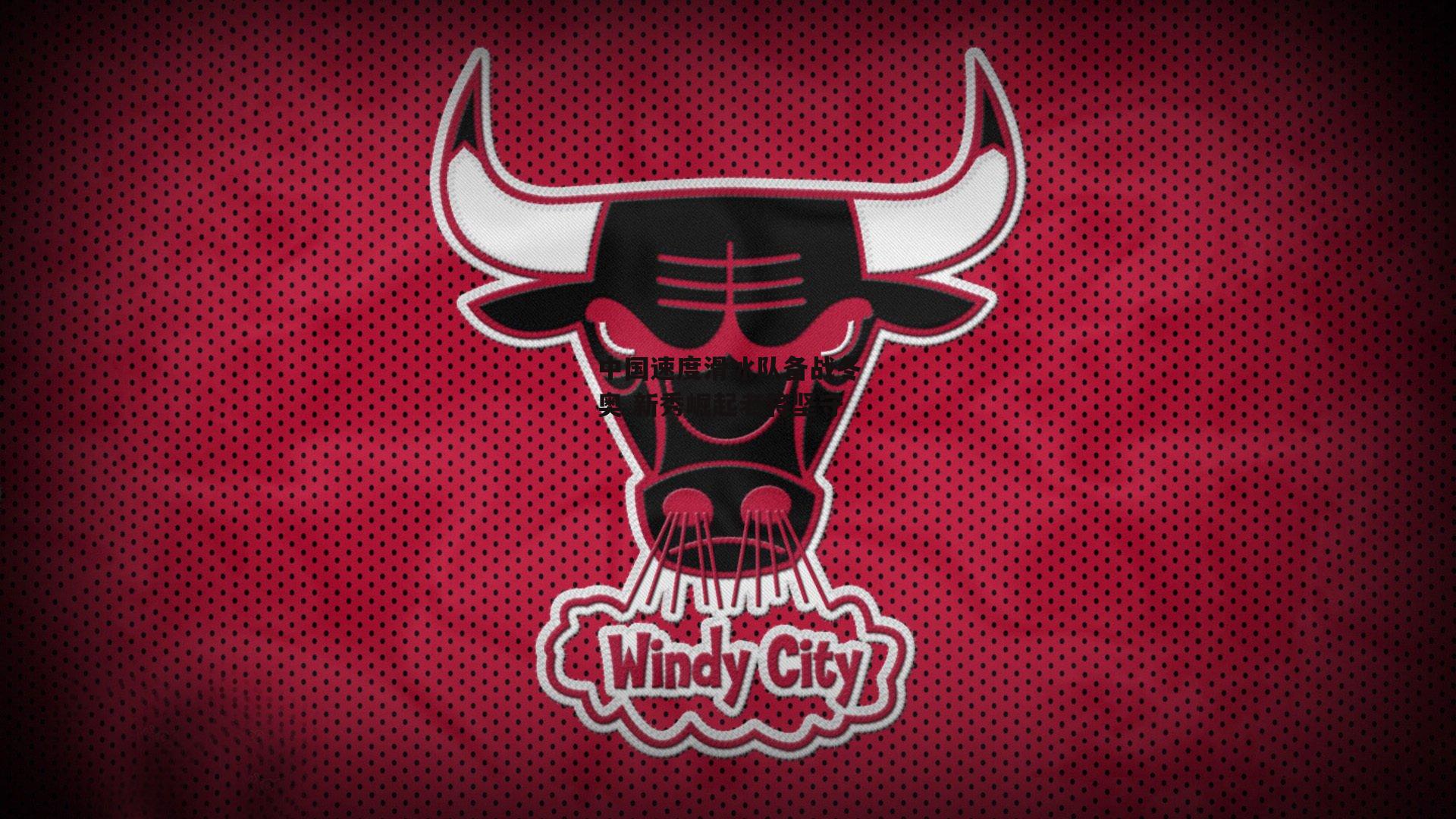 中国速度滑冰队备战冬奥 新秀崛起老将坚守